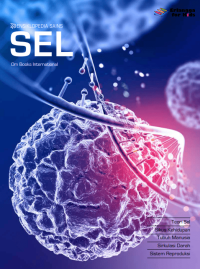 Image of Ensiklopesia Sains : Sel